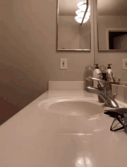 Man Inside Toilet Guilty On Cheating His Wife GIF