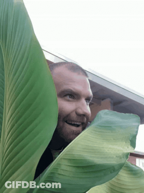 Man Is Happy Lurking GIF