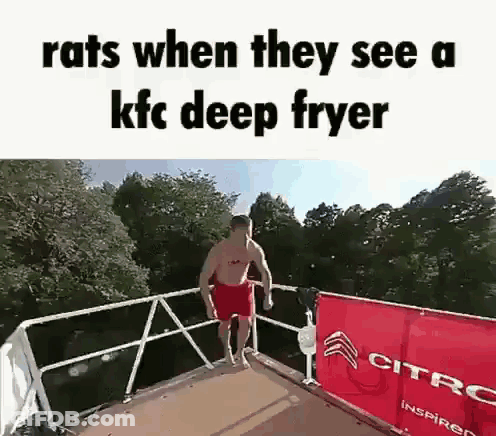 Man Jumping Into Pool GIF