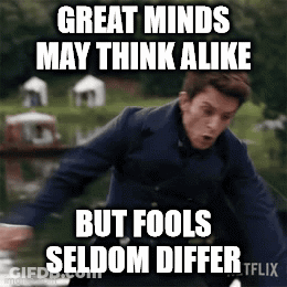 Man Jumping Into Water Great Minds May Think Alike But Fools Seldom Differ GIF