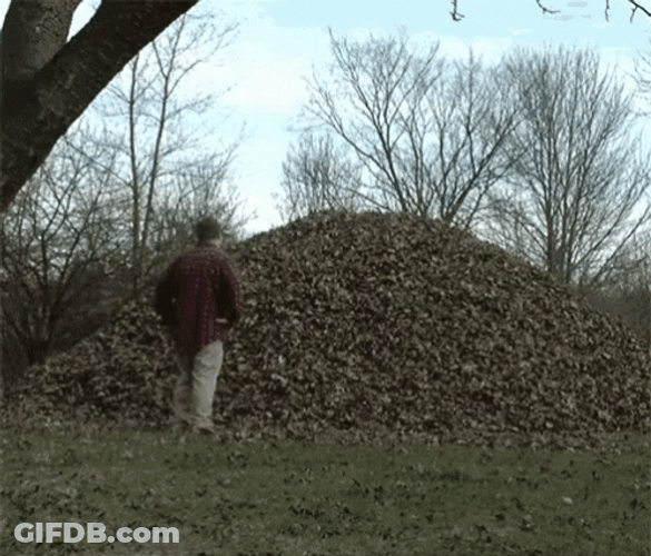 Man Jumping On Piled Falling Leaves GIF