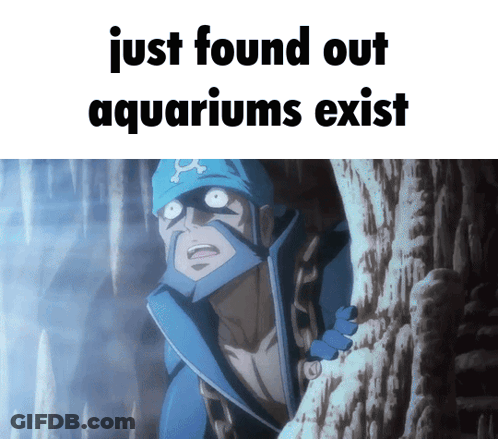 Man Just Found Out Aquariums Exist GIF