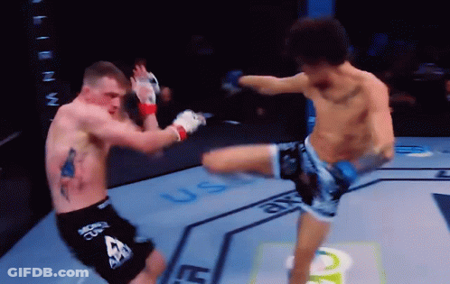 Man Kicking Another Man In UFC Boxing Ring GIF