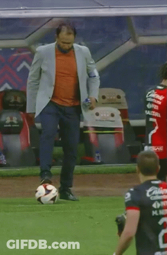 Man Kicking Soccer Ball GIF