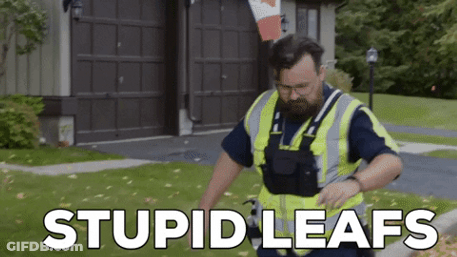 Man Kicks Stupid Fall Leaf GIF
