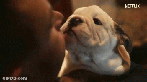 Man Kissing Dog On Nose GIF