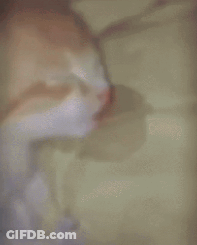 Man Kissing Man In Green City Shirt GIF