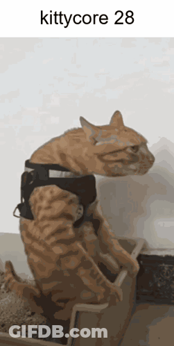 Man Kissing Woman On Cheek Close Up GIF