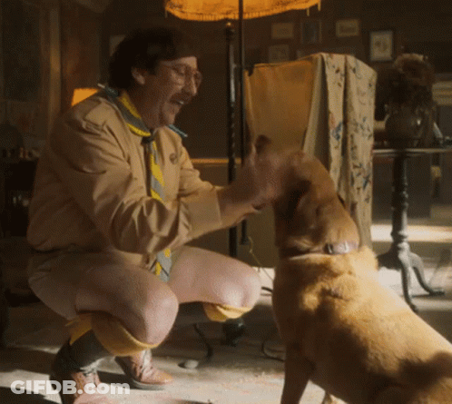 Man Kneeling Down With Dog Looking At Him GIF