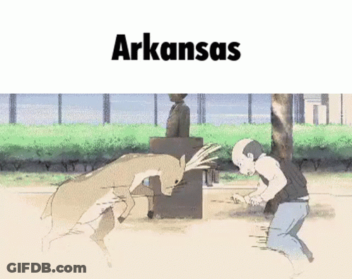 Man Kneeling In Front Of Deer With Arkansas GIF