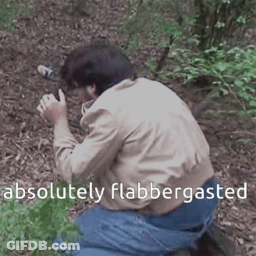 Man Kneeling In Woods Absolutely Flabbergasted GIF