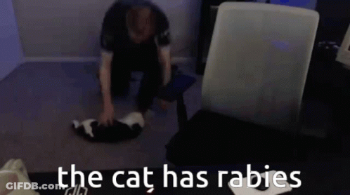 Man Kneeling Next To Cat Says The Cat Has Rabies GIF
