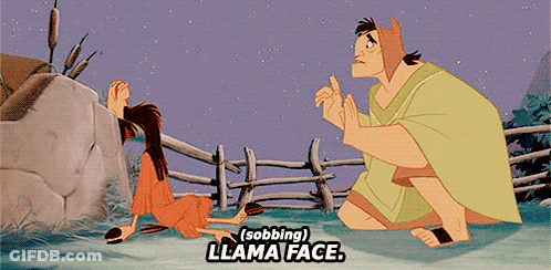 Man Kneeling Next To Girl Sobbing Llama Face GIF