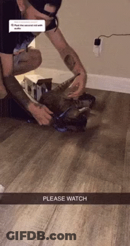 Man Kneeling Playing With Cat GIF