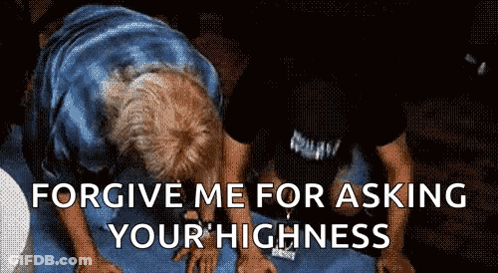 Man Kneeling Saying Forgive Me For Asking Your Highness GIF
