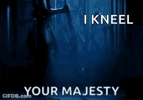 Man Kneeling Saying I Kneel Your Majesty GIF