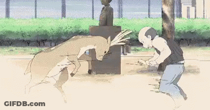 Man Kneeling While Two Sheep Fight GIF