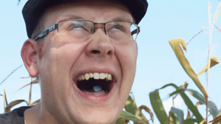 Man Laughing Gigguk On The Corn Field GIF