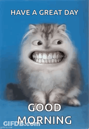 Man Laughing Saving Money GIF