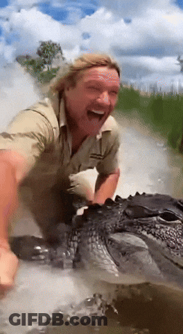 Man Laughing While Holding Alligator In Water GIF