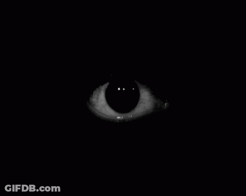 Man Laughing You Are Funny GIF