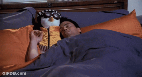 Man Laying In Bed With Stuffed Penguin On Head GIF