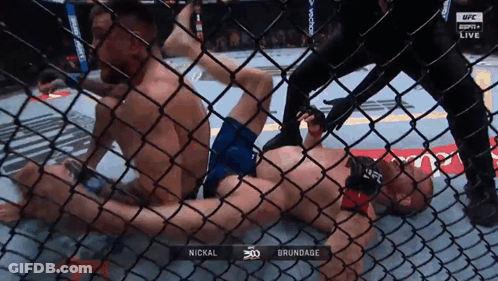 Man Laying In Cage With Brundage GIF