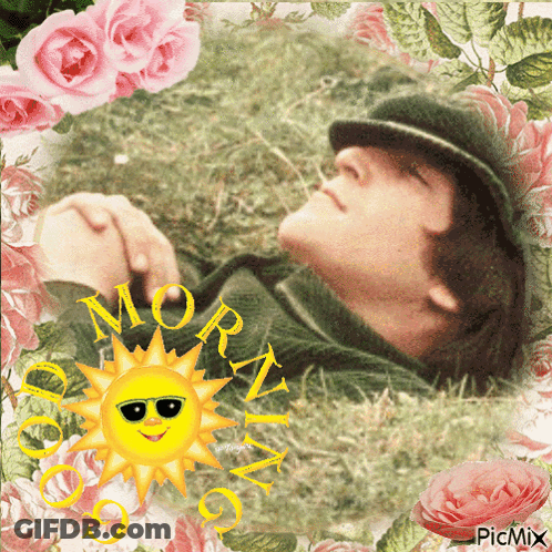 Man Laying In Grass With Sun Saying Morning GIF