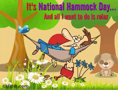 Man Laying In Hammock It's National Hammock Day GIF