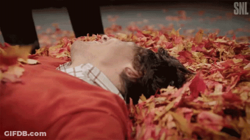 Man Laying In Leaves With SNL Logo GIF