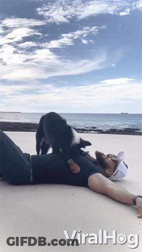 Man Laying On Beach With Dog On Back Viralhog GIF