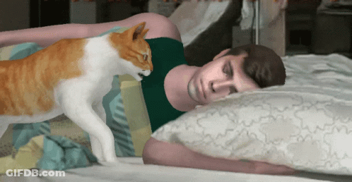 Man Laying On Bed With Cat On Head GIF