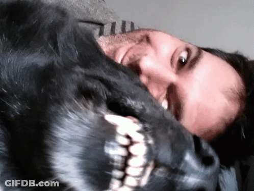 Man Laying On Bed With Head On Dog's Head GIF