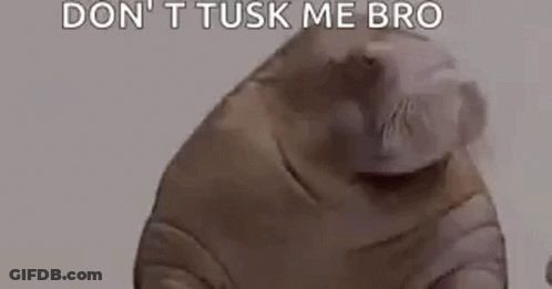 Man Laying On Floor Next To Hippo In Pool GIF