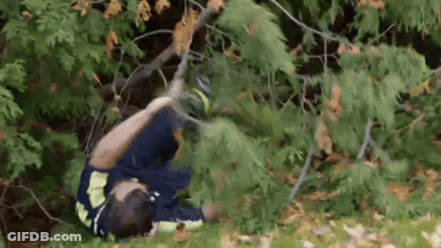 Man Laying On Ground Holding Tree Branch In Woods GIF