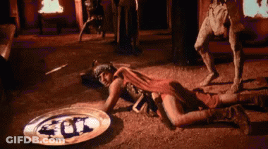 Man Laying On Ground Next To Fox Plate GIF