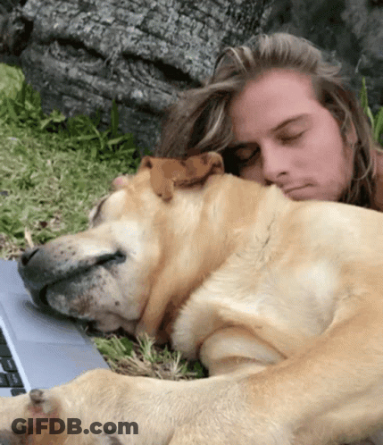 Man Laying On Ground With Dog On His Lap GIF