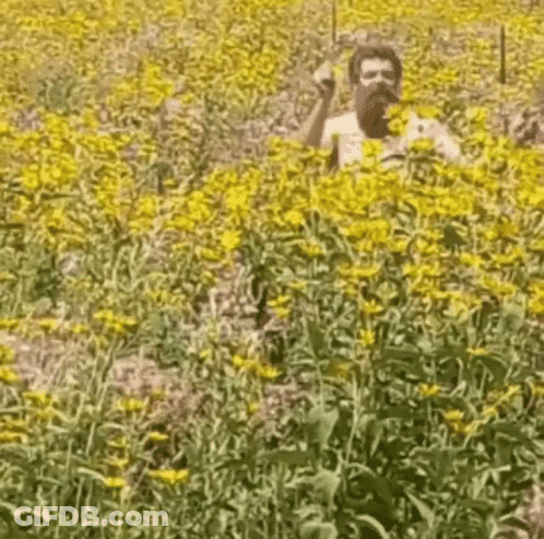Man Laying On Stomach In Grassy Field GIF