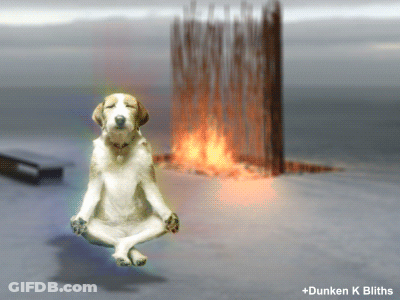 Man Laying On Table With Head On Arm GIF