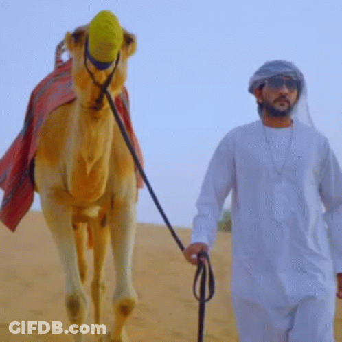 Man Leading Camel In Desert GIF