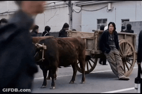 Man Leaning On Wooden Cart Pulled By Cows GIF