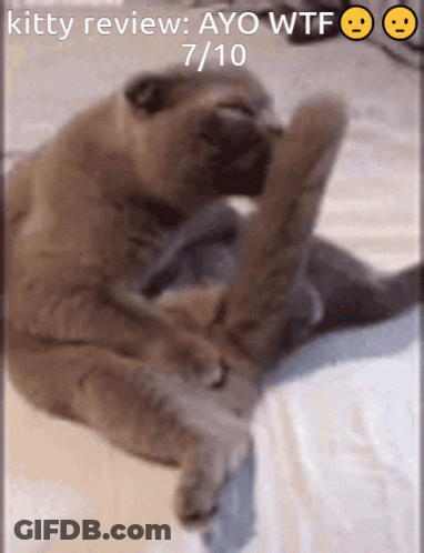 Man Licking Pink Object Saying Licking The 7/10 Split GIF