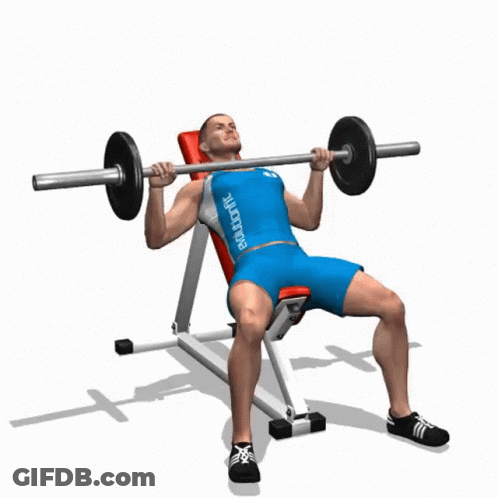 Man Lifting Barbell On Bench With Bodyfit Shirt GIF