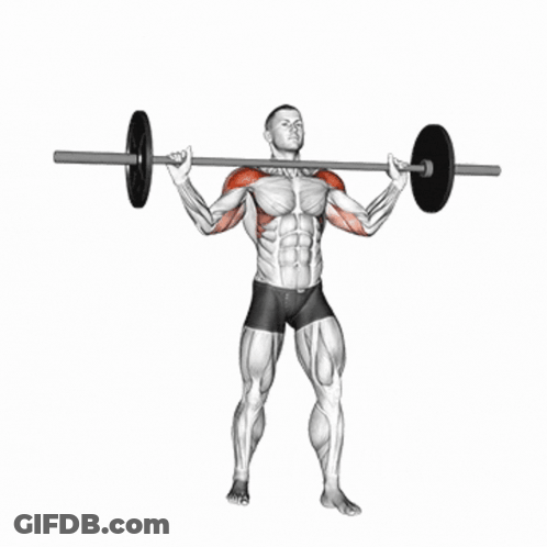 Man Lifting Barbell With Plate Over Shoulders GIF