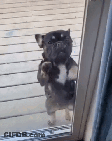 Man Lifting Dumbbell In Gym GIF