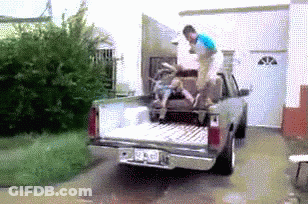 Man Loading Something Into Truck GIF