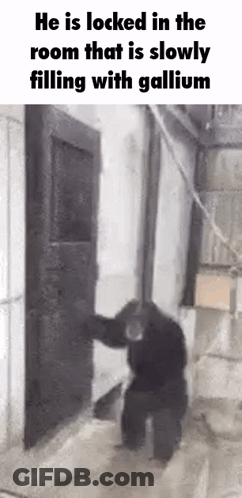Man Locked In Room Filling With Gallium GIF