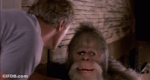 Man Looking At Bearded Monkey In Mirror GIF