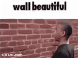 Man Looking At Brick Wall GIF