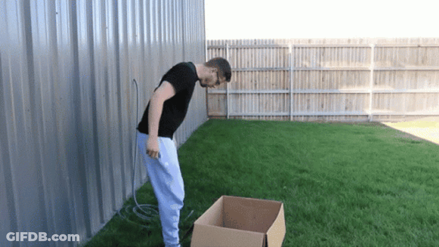 Man Looking At Dog Poop Under His Shoe GIF